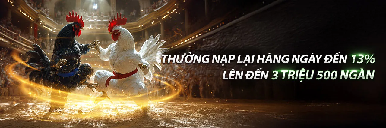 Gà Chọi Thomo C1 Trực Tiếp Hôm Nay